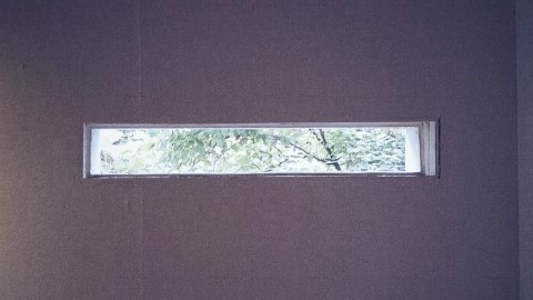 3월 3주차 근황 @머리 염색, 가구 버리기, 멘탈리스트 등등 3월 3주차 근황 @머리 염색, 가구 버리기, 멘탈리스트 등등