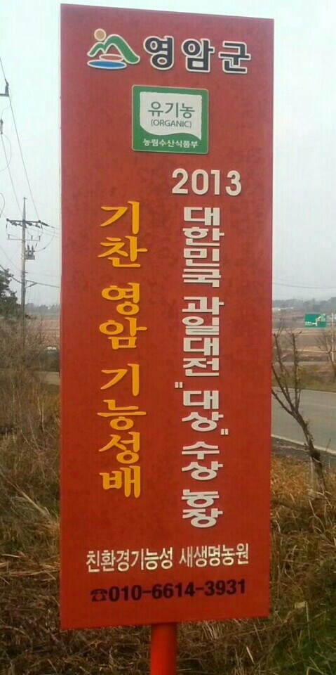  영암군의 자랑 유기농 배 명인 허정철 님의 새생명 농원 