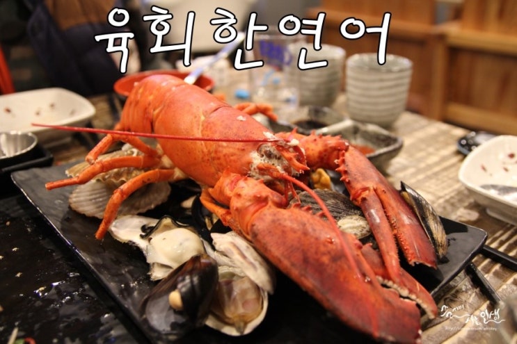  [종로3가맛집] 종로 연어 즐기러 육회한연어로 고고씽