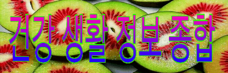  건강 정보 종합(67)