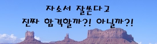  [nap] 자소서... 진짜 잘 쓴다고 합격할까?!