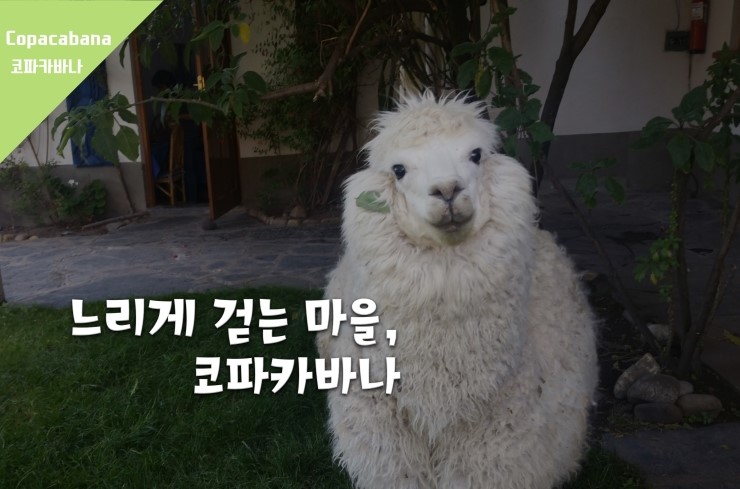  [코파카바나] 다른 어떤 곳보다 다른 누구보다 늘어져있을 수 있는 휴양지