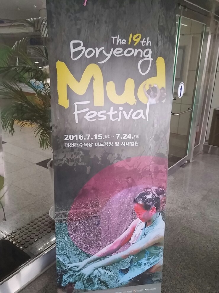 보령시청 재무제표 감사