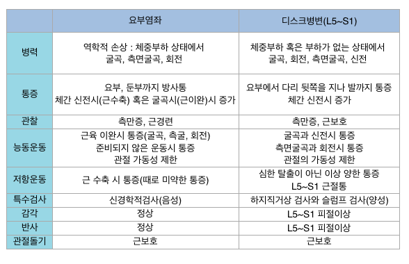 용인 요추염좌가 심해지는 요통의 원인[서울예수병원] 3