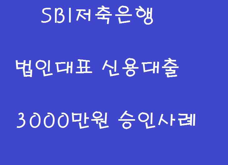 법인대표 SBI저축은행 3000만원 승인사례 