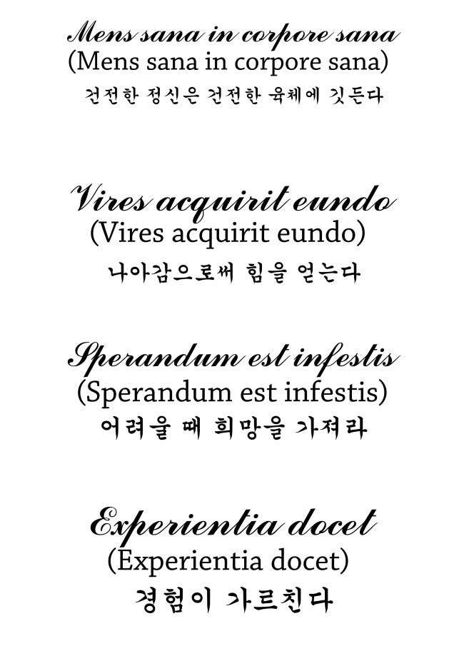 사람들이 좋아하는 필기체 폰트로 라틴어명언에 대해서 알아볼게요. : 네이버 블로그 사람들이 좋아하는 필기체 폰트로 라틴어명언에 대해서 알아볼게요. : 네이버 블로그