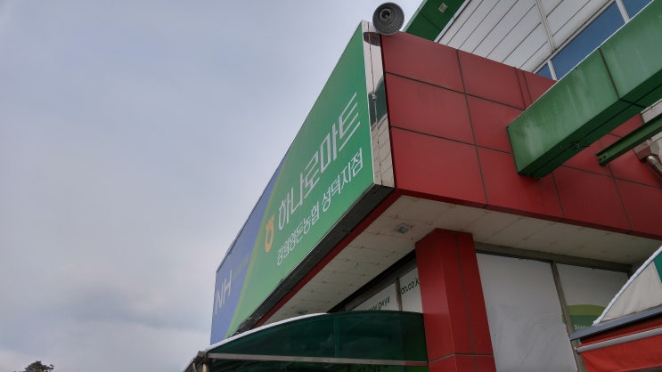  후아유 강릉게스트하우스 오늘은 2차는 회파티?! 강릉여행 경포대여행 혼자여행