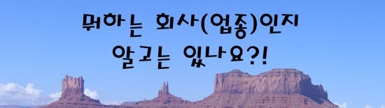  [nap] 뭐하는 회사(업종)인지는 알고 있나요?
