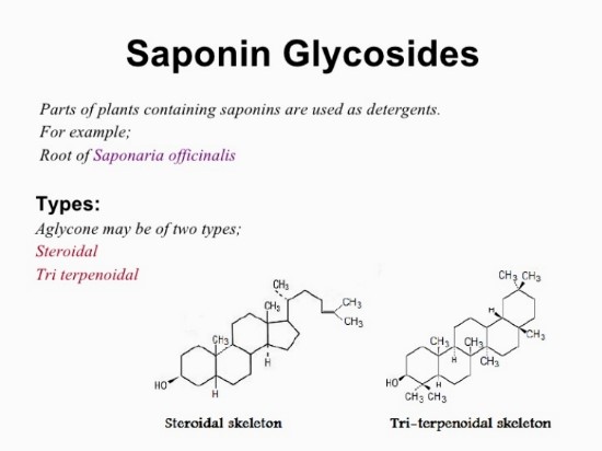 사포닌의 효능을 이해하고 바르게 섭취하기