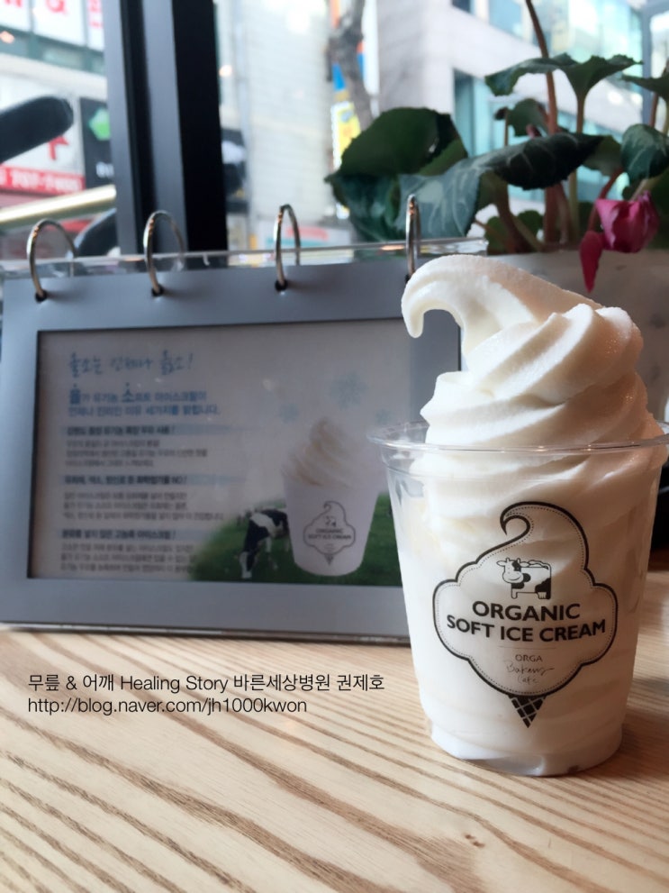  올가 오가닉 아이스크림