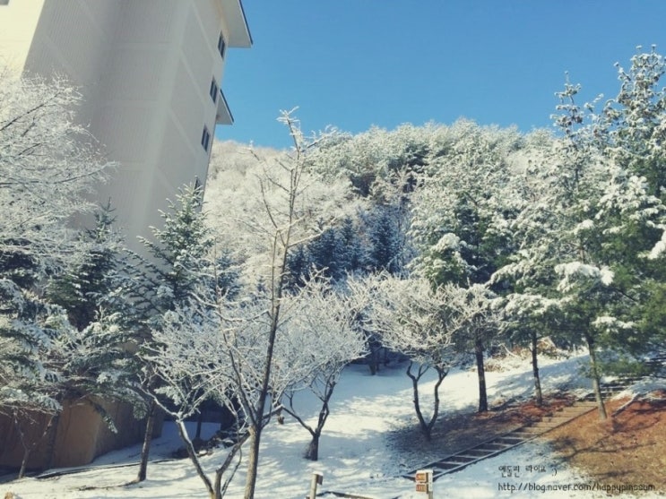 [일상이야기 #2] 3월에도 강원도 태백에는 눈이 내려요.  