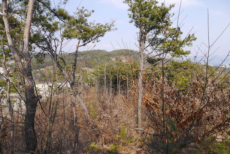 광대골산 사진 2