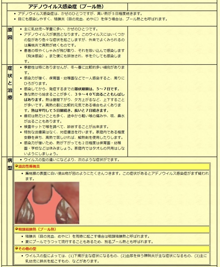 아데노 바이러스 아데노 바이러스