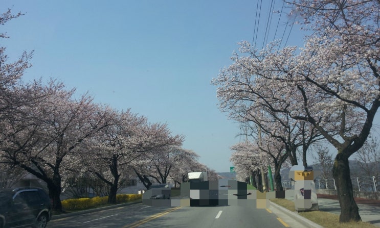  여자들의 순수한 거짓말은 무엇일까?