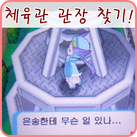  포켓몬스터 ORAS - 맵상의 사천왕/체육관 관장 찾기~
