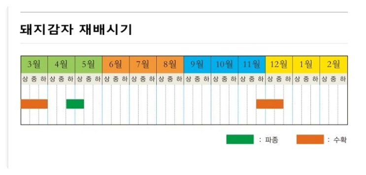 돼지감자파종시기+수확시기 당뇨병에효하는 마른돼지감자(차)효능10가지 10