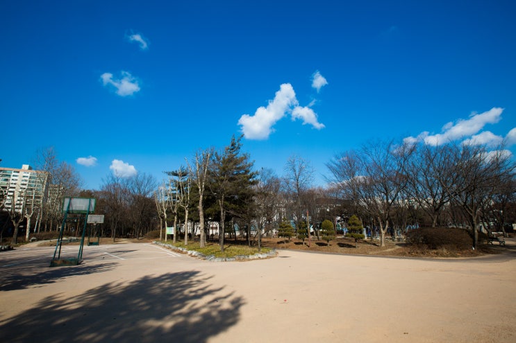 인천 구월동 중앙공원 산책