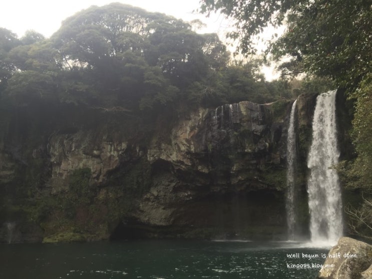  [제주도] 2일째:) 쇠소깍과 천지연에서 소화 겸 산책하기