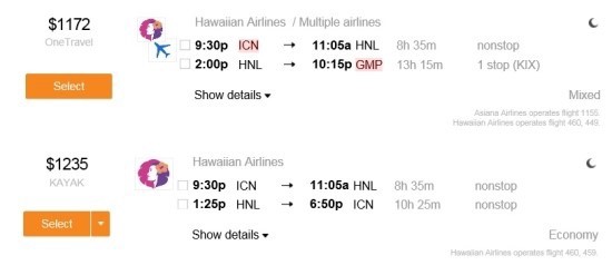 하와이 항공권