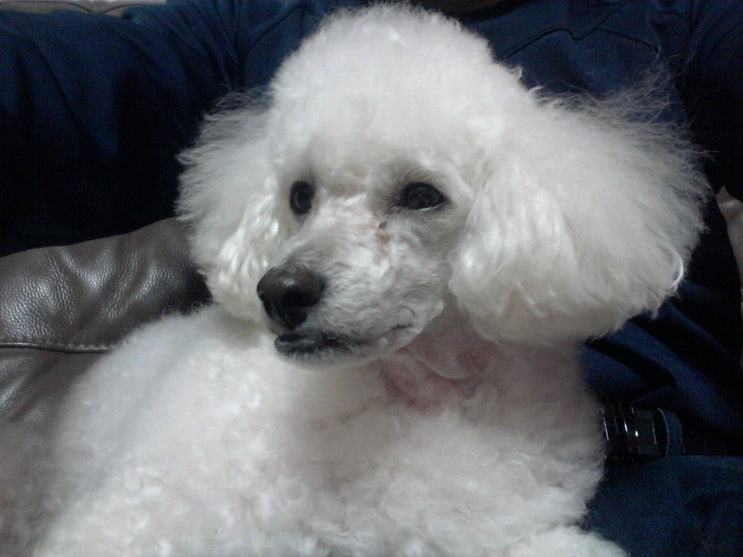  여자에게 매력적인 남자란?