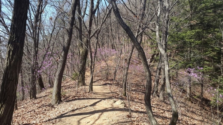  April, 2016