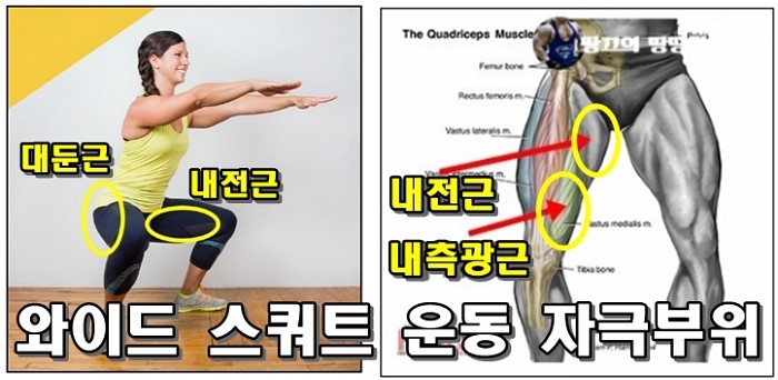 여성을 위한 하체 운동 프로그램 허벅지 근육 운동 종류 내로우 스쿼트, 와이드 스쿼트 포즈 효과 8