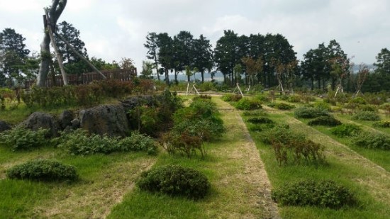 "매장 위주 장례문화, 이제는 화장·자연장으로 바꿀 때" "매장 위주 장례문화, 이제는 화장·자연장으로 바꿀 때"