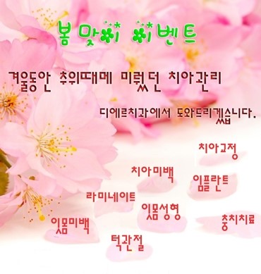  부산 서면치과 디에르 봄맞이이벤트