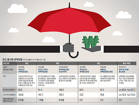 원금 손실 걱정컸던 변액보험, 안전장치 추가한 상품 나와 -변액보험 선택 가이드