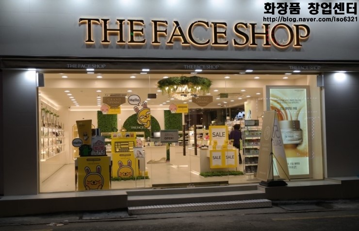 대전광역시 더페이스샵창업 (실매물, 매매, 양도양수, 더페이스샵창업비용 및 수익구조) 대전광역시 더페이스샵창업 (실매물, 매매, 양도양수, 더페이스샵창업비용 및 수익구조)