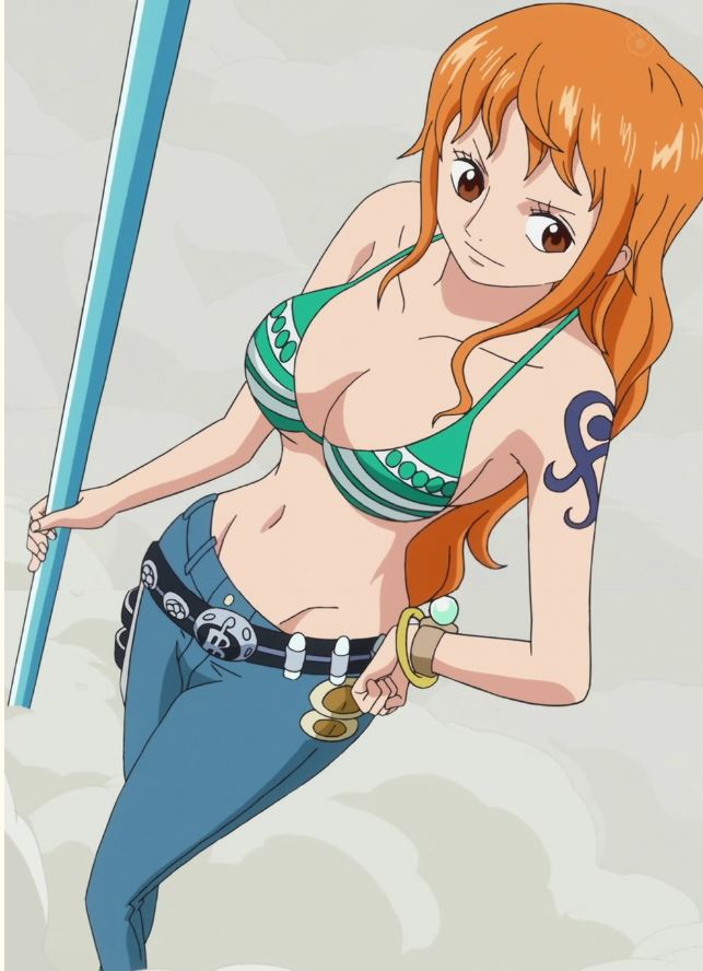 원피스 2년후 나미 Vs 니코로빈 잇님들의 스타일은 네이버 블로그