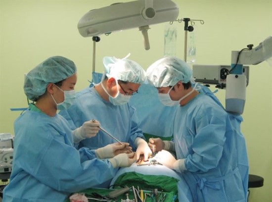 척추 과잉치료 부추기는 ‘실손보험 역기능’ 손봐야 - 장상범 분당척병원 원장 "척추 비급여 시술 남발은 의학적 근거도 없고 윤리적으로도 안 맞아" 척추 과잉치료 부추기는 ‘실손보험 역기능’ 손봐야 - 장상범 분당척병원 원장 "척추 비급여 시술 남발은 의학적 근거도 없고 윤리적으로도 안 맞아"