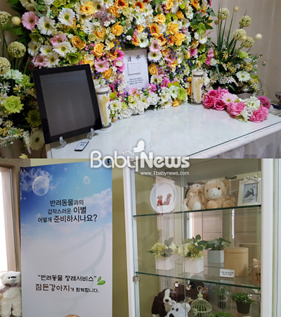 고이잠든 반려동물을 위한 '반려동물 상조'서비스 고이잠든 반려동물을 위한 '반려동물 상조'서비스