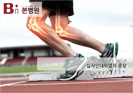  안양정형외과 추천 십자인대란?