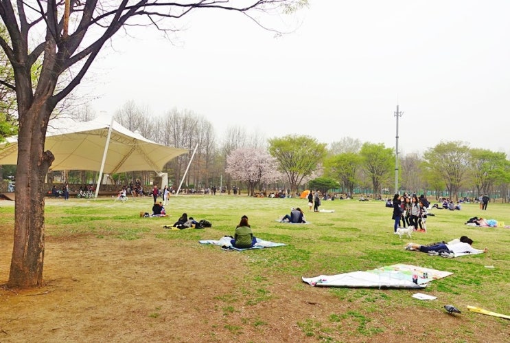 등산 갈 때 산책할 때 자외선 차단 더 이지 스포츠 패치 선크림 패치를 지참한다. 4