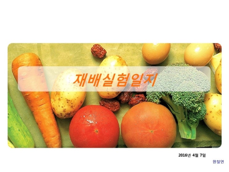  재배실험 (2016년 4월 7일 숙주나물 재배실험) - 유기농자재- 실패 