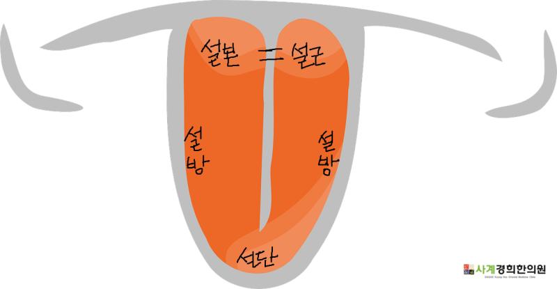 싹수가 보인다, 혀. : 네이버 블로그