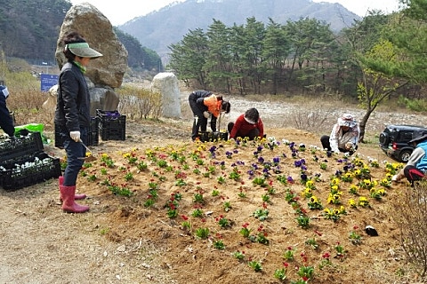 영월학산천마을 이미지