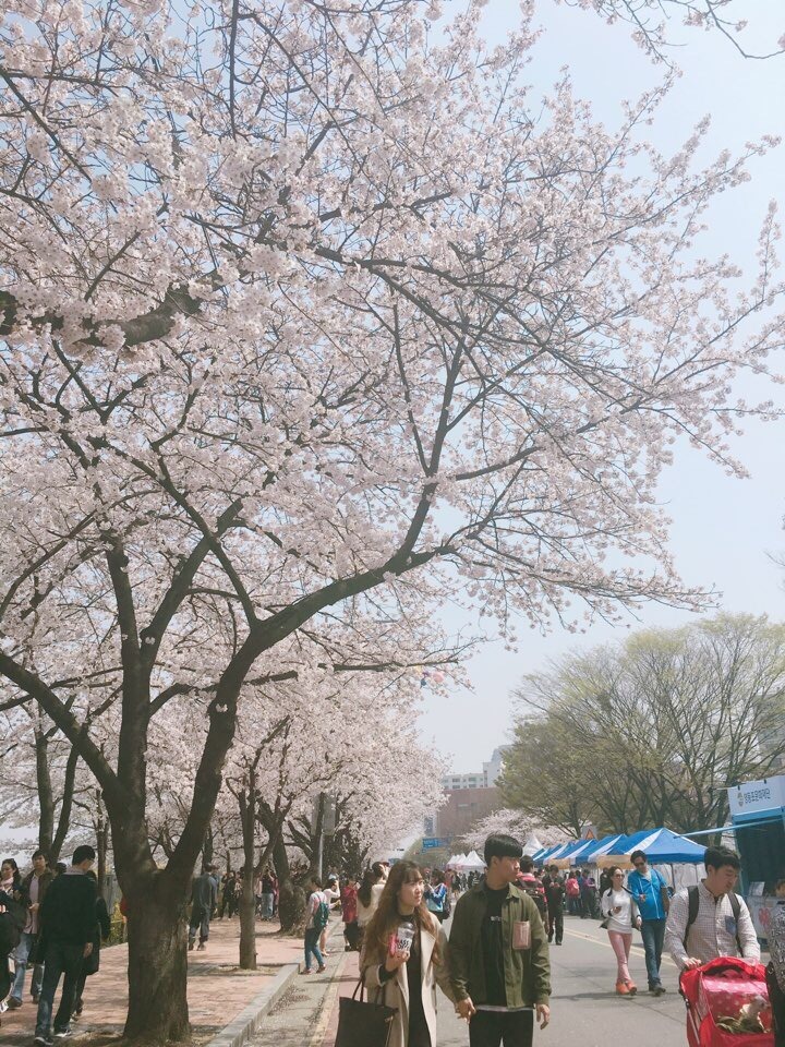  여의도는 아름다와