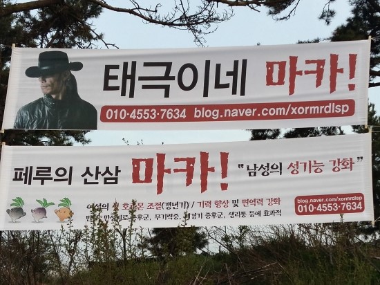 마카판매를 위한 홍보 준비 마카판매를 위한 홍보 준비