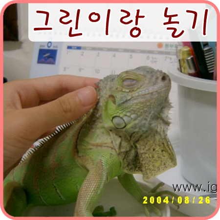  2004/09/18 그린이랑 놀기는 재미있어요 