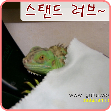  2004/08/05 스탠드는 인기짱이에요~