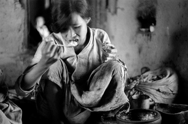  [나의 한국현대사]1959-2014, 55년의 기록