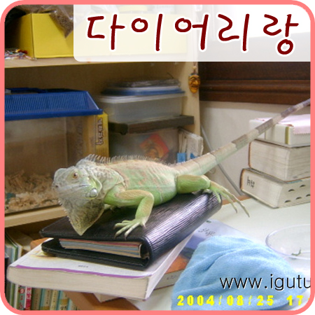  2004/09/18 다이어리와 그린이 