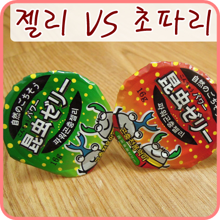 [넓적사슴벌레] 새로운 사슴벌레 젤리 VS 초파리