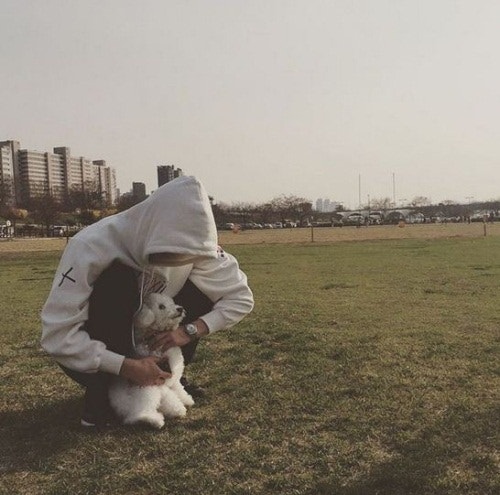EXO Sehun's Dog Vivi is a Bichon!