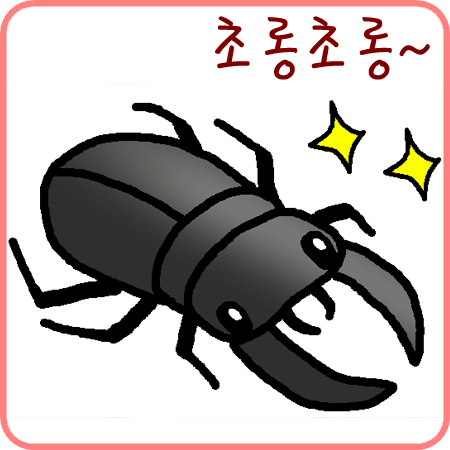  [넓적사슴벌레]눈이 초롱초롱 우리 넓적이!