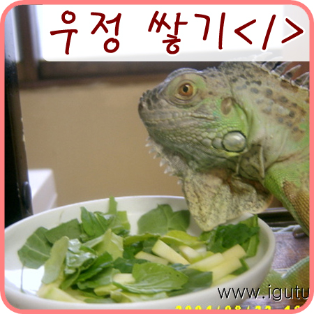  2004/09/05 이구아나와 우정 쌓기<1> 