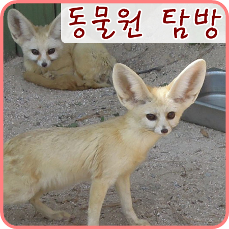  서울 어린이대공원 동물원에서~