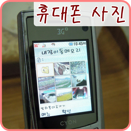  예전 휴대폰 속 추억의 동물사진들